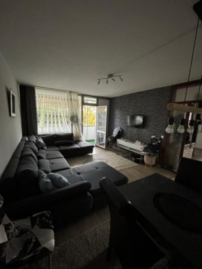 Charmante 3 Zimmer Wohnung mit Balkon ideal für Familien in Dortmund Scharnhorst
